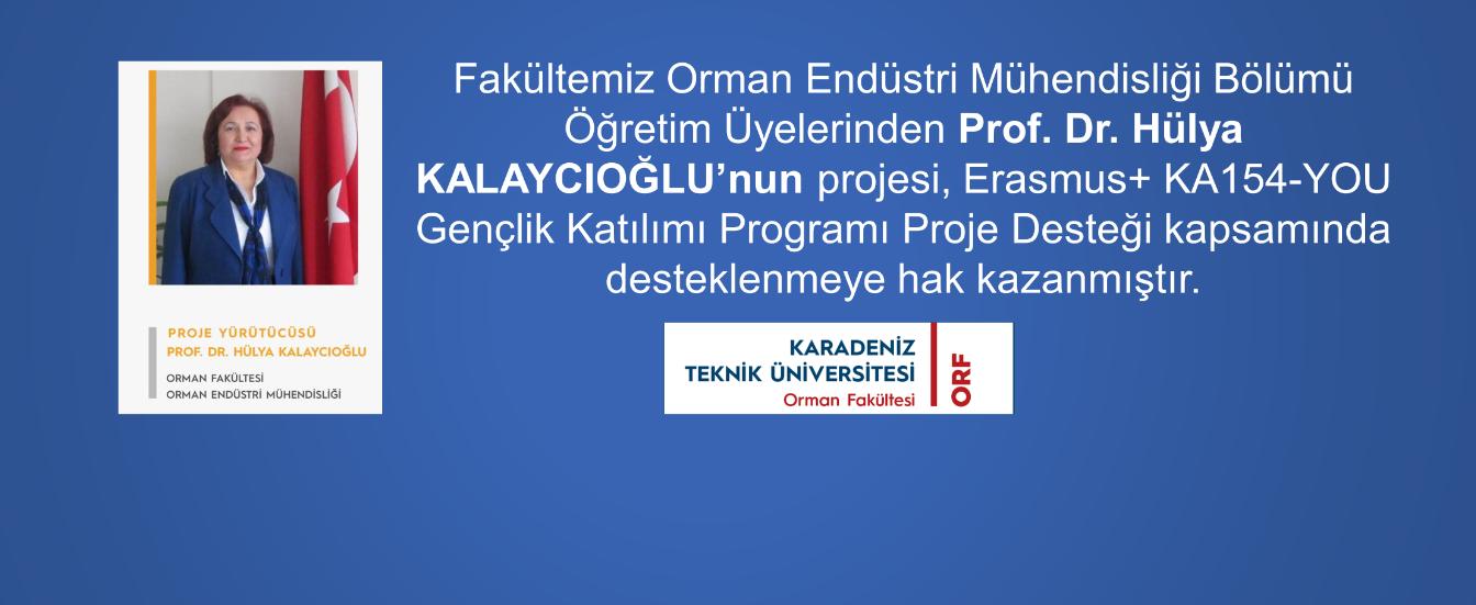Prof. Dr. Hülya KALAYCIOĞLU Proje