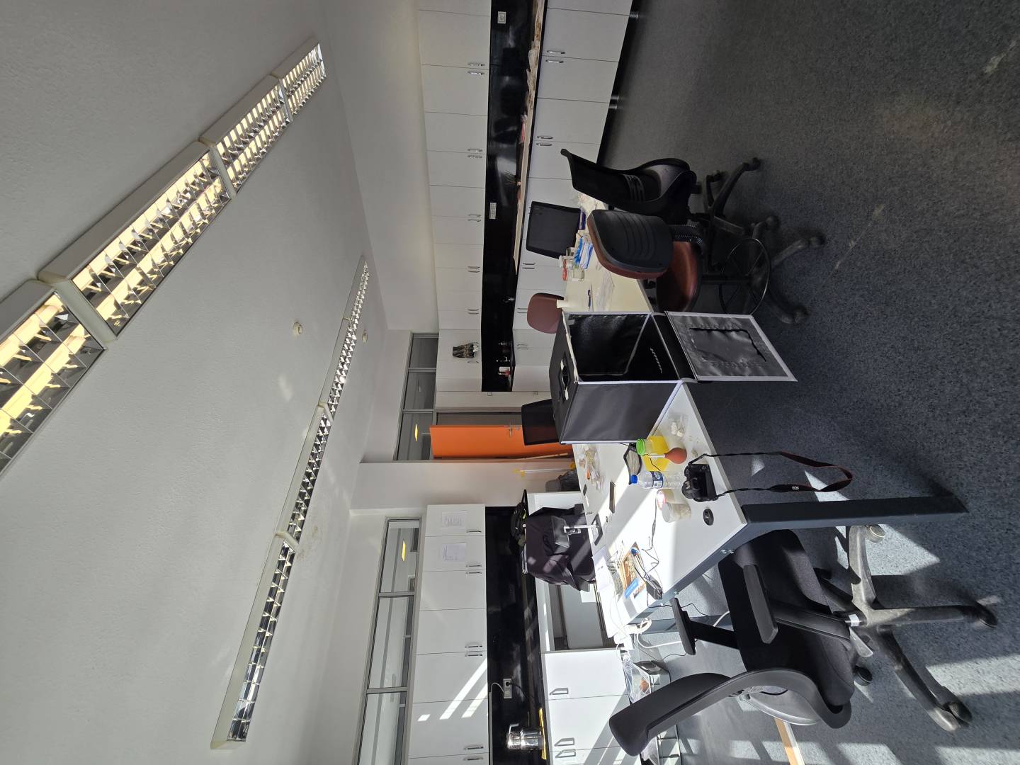 Sanat Tarihi Laboratuvarı