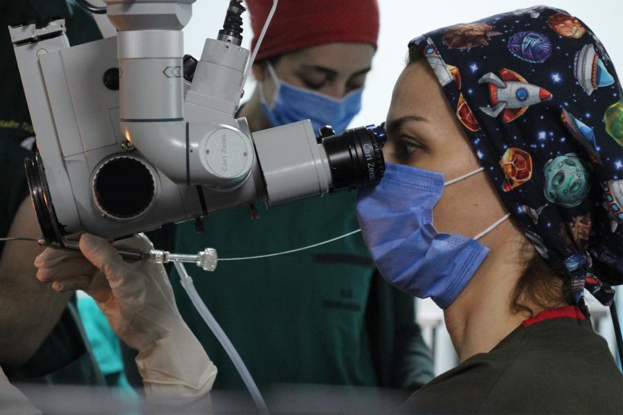 Doç. Dr. H. Bengü Çobanoğlu