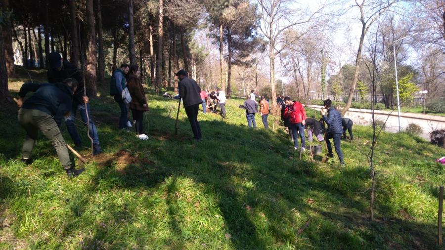 Orman Endustri Muhendisligi Bolumu Oem Yok Destek Bursu