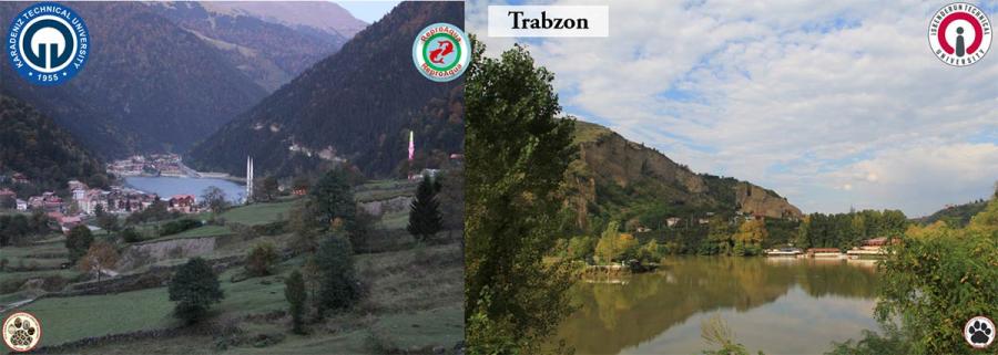 trabzon