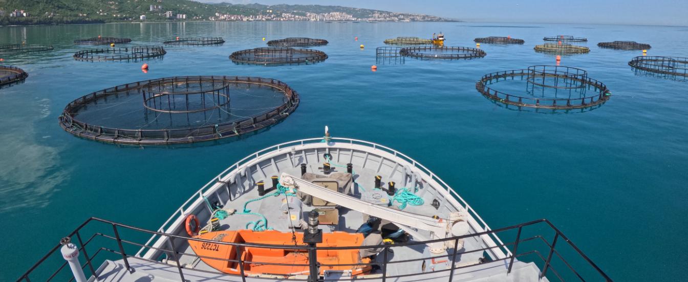 KTU R/V Denar