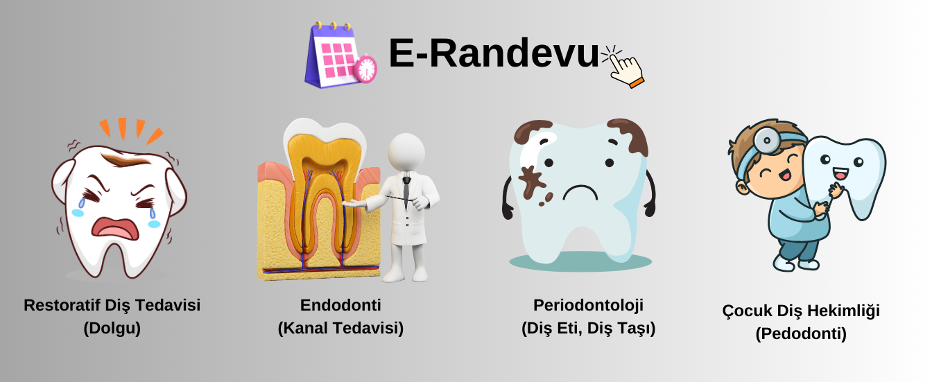 e-randevu yeni