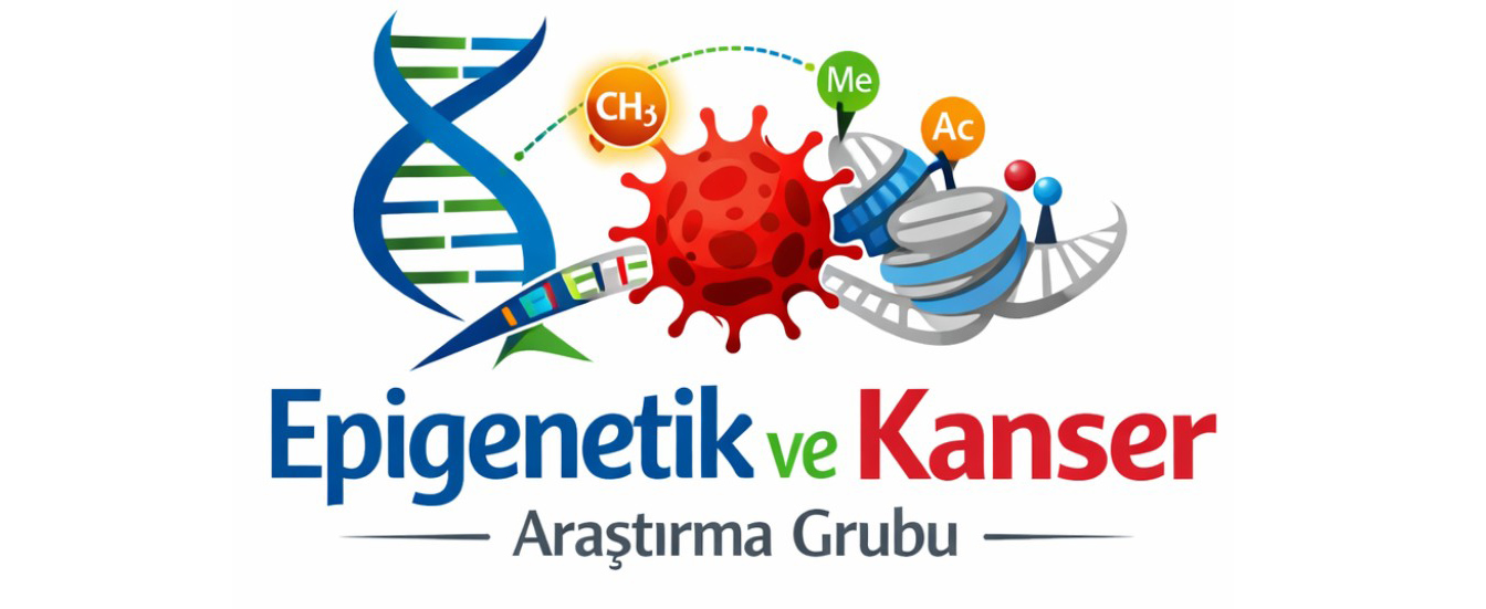 EPİKA WEB SİTESİNE HOŞ GELDİNİZ
