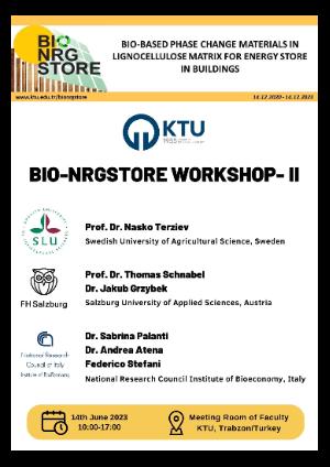 BIO-NRGSTORE Workshop II