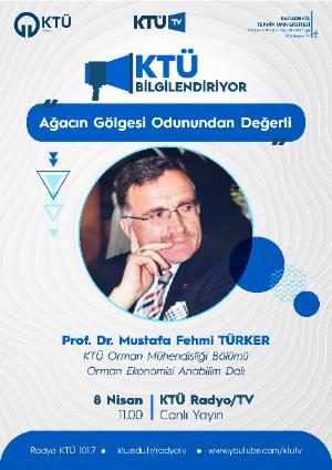 Ağacın Gölgesi Odunundan Değerli