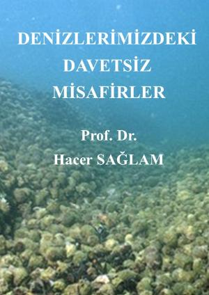 Denizlerimizdeki Davetsiz Misafirler