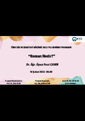Roman Nedir?