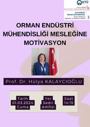 Orman Endüstri Mühendisliği Mesleğine Motivasyon