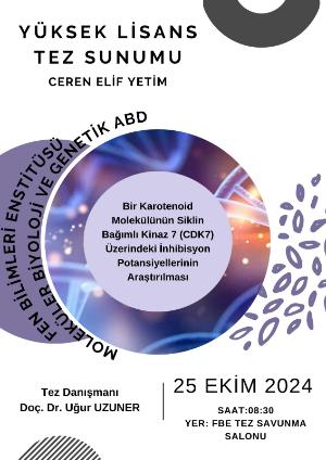 Yüksek Lisans Tez Sunumu