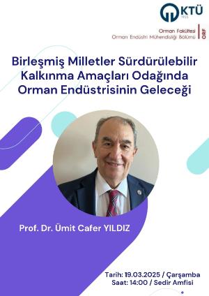 Birleşmiş Milletler Sürdürülebilir Kalkıbma Amaçları Odağında Orman Endüstrisinin Geleceği
