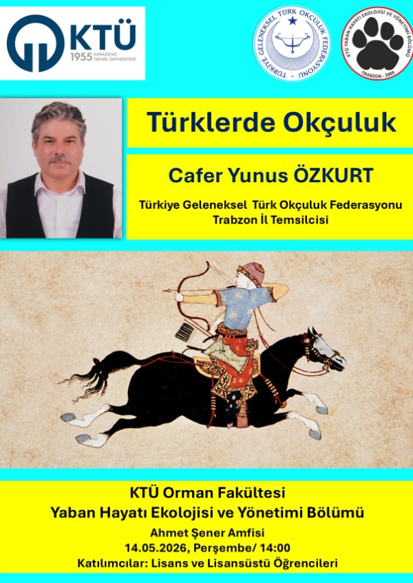 Türklerde Okçuluk