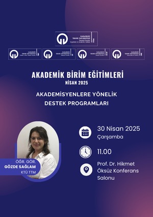 Akademisyenlere Yönelik Destek Programları 