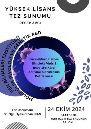 Yüksek Lisans Tez Sunumu