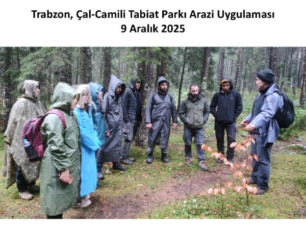 Trabzon, Çal-Camili Tabiat Parkı Arazi Uygulaması
