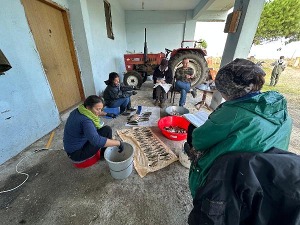 Aqutic IAS Monitoring the Kızılırmak Delta Conservation Area