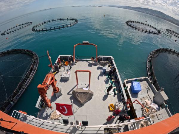 Our Faculty's Research Vessel KTÜ R/V DENAR Participated in Field Studies Within the Scope of the (2EKO) Project