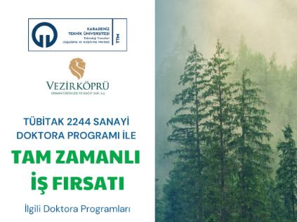 TÜBİTAK 2244 Sanayi Doktora Programı ile Tam Zamanlı İş Fırsatı