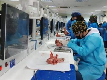 Sütur Teknikleri Eğitimi