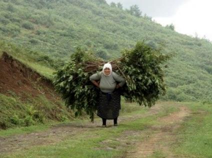 Farabi Aktüel 3. Sayısı Kaybolan Değerlerimiz Temasıyla Yakında..

