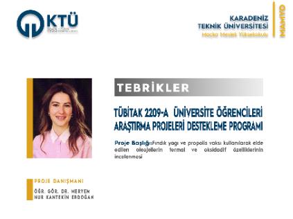 TÜBİTAK 2209/A Üniversite Öğrencileri Araştırma Projeleri Destekleme Programı
