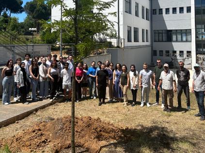 Tree Planting Event