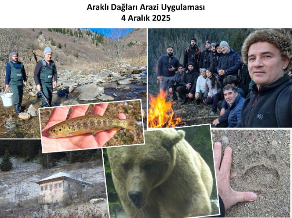 Aralıklı Dağları Arazi Uygulaması