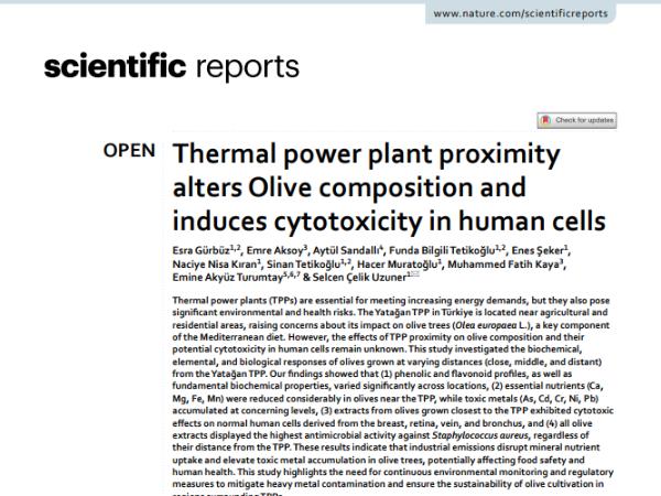 Öğrencilerimizin Bitirme Tezleri Makale Olarak Yayınlandı