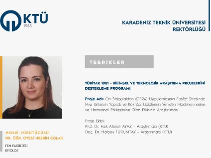 TUBITAK 1001 Project Support to Assistant Professor Nesrin ÇOLAK