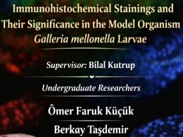 Öğrencilerimizin BAP-09 Projesi Desteklenmeye Hak Kazandı!