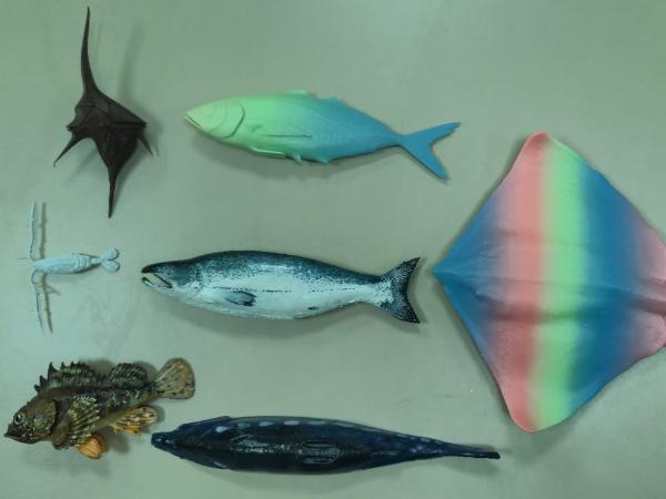 The BIOBLACK Project's First Official KTÜ Team Meeting Was Held in Trabzon