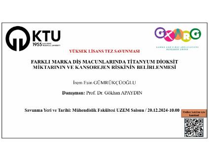 Yüksek Lisans Tez Savunması - İrem Esin GÜMRÜKÇÜOĞLU