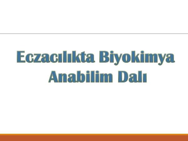 2025-2026 Eğitim-Öğretim Yılı Lisansüstü Öğrencileri Bilgilendirme Toplantısı Gerçekleştirilmiştir.