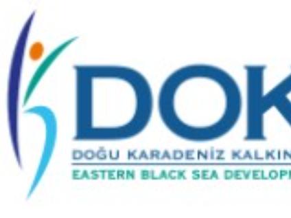 "Artificial Intelligence Supported Digital Design Workshop" project was awarded support from DOKA.