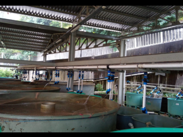 TTSO - KTÜ ve SUMAE İş Birliği ile Alabalık Yumurtası Üretim Projesi Hayata Geçiriliyor