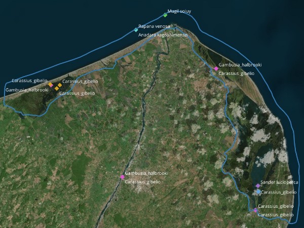 Aquatic IAS in the Kızılırmak Delta Protected Area: Monitoring Progress and Impact of IASON+ Project
