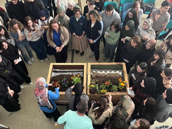 Kentlere Nefes Aldıran Çözüm: Yeşil Çatı Tasarımı ve Uygulamaları