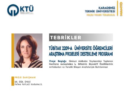TÜBİTAK 2209/A Üniversite Öğrencileri Araştırma Projeleri Destekleme Programı