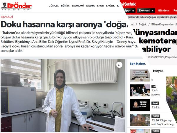 APİMER Çalışmaları Kapsamında Aronya Üzerine Bilimsel Değerlendirmeler