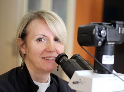 Hayat Kalitenizi Bozan Neden Kansızlık Olmasın!