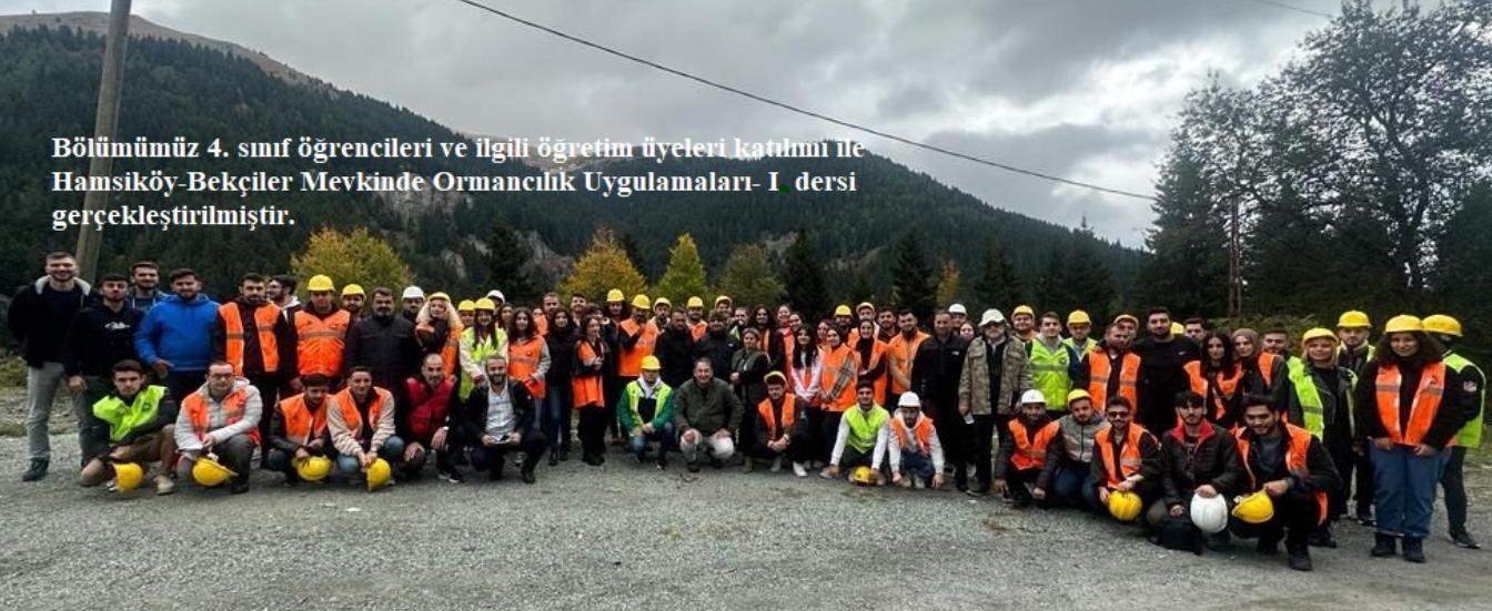 Ormancılık Uygulamaları-I-Güzbekçiler