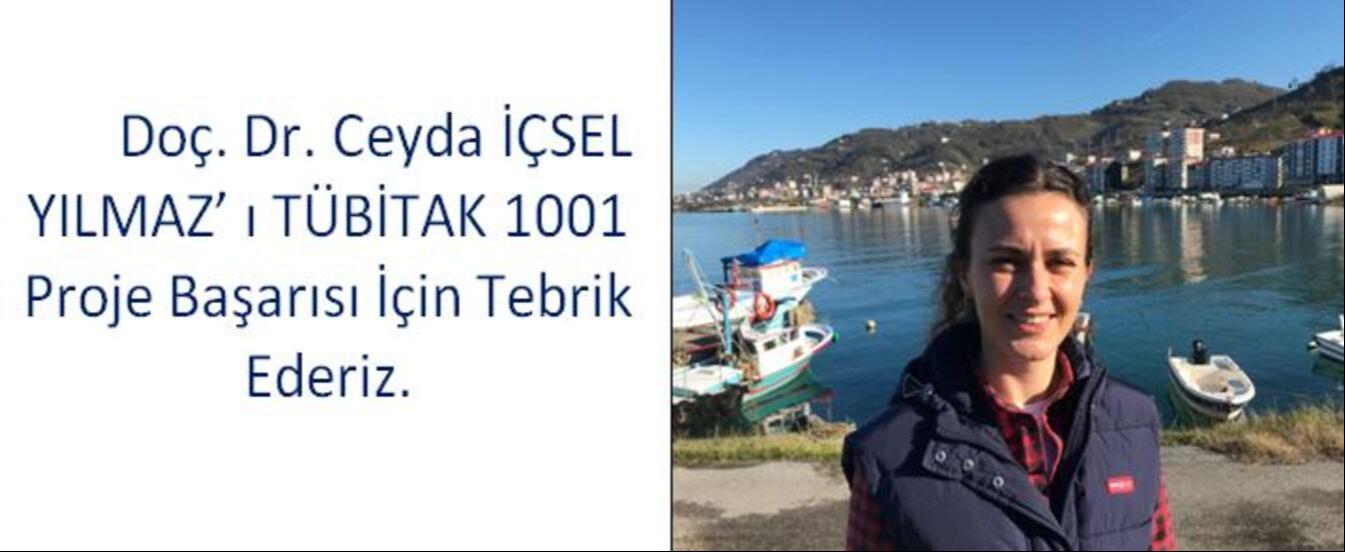 CEYDA HOCA 1001 TÜBİTAK PROJESİ