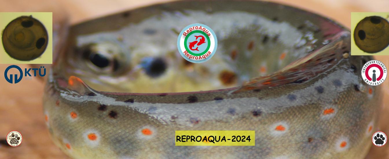 Rebroaqua_2