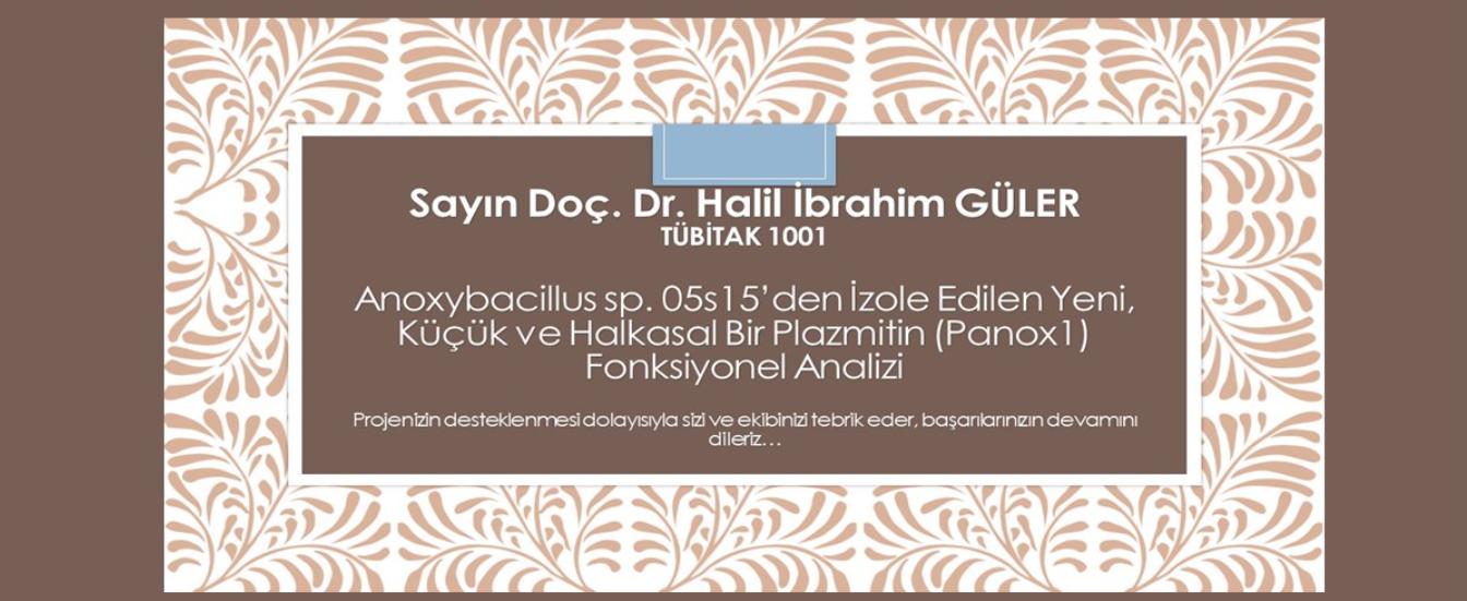 1001 Halil İbrahim Güler